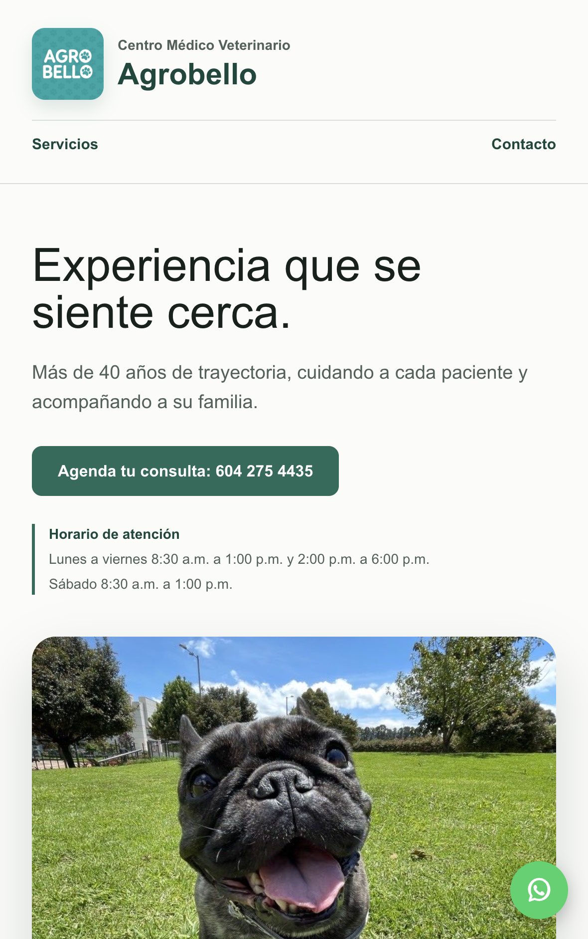 La página de Agrobello vista en un teléfono móvil