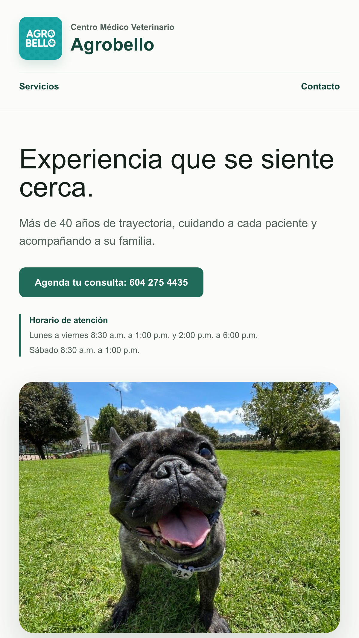 La página de Agrobello vista en un teléfono móvil